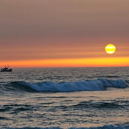 Conil Brujo * Кониль-де-ла-Фронтера