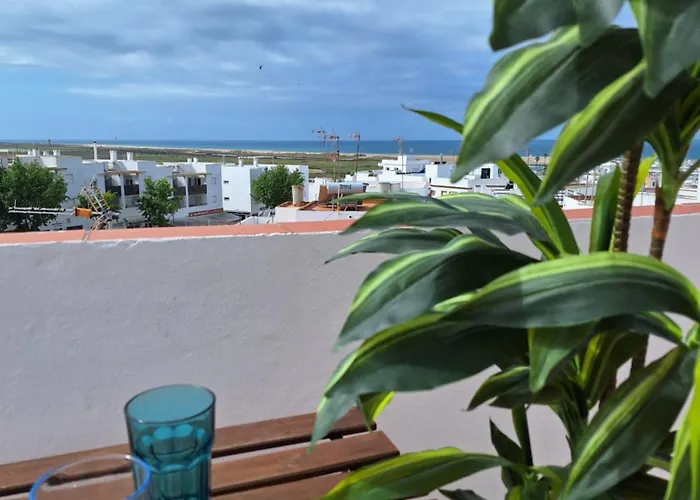 Conil Brujo Conil De La Frontera