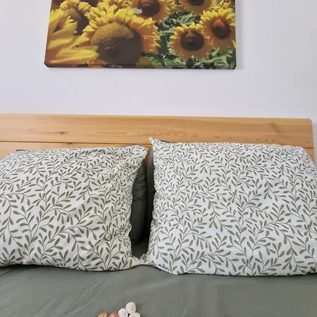 Conil Brujo Apartamento *