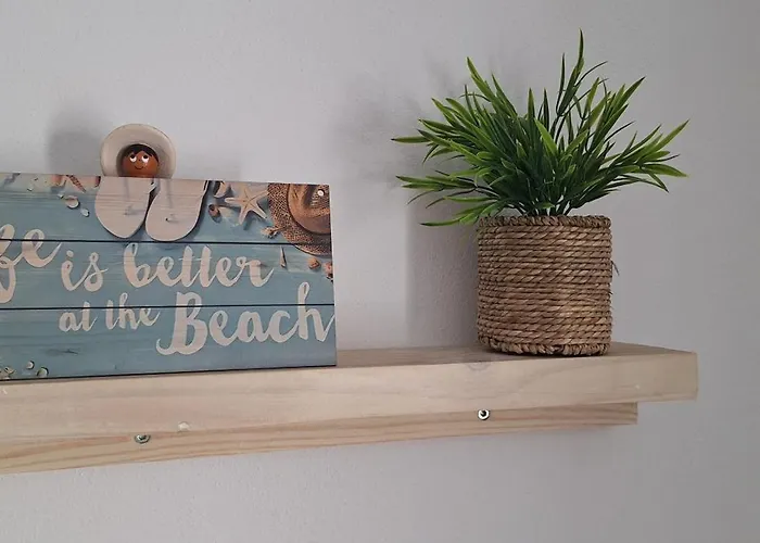 Conil Brujo * Conil De La Frontera